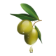 ZEYTİN YAĞI